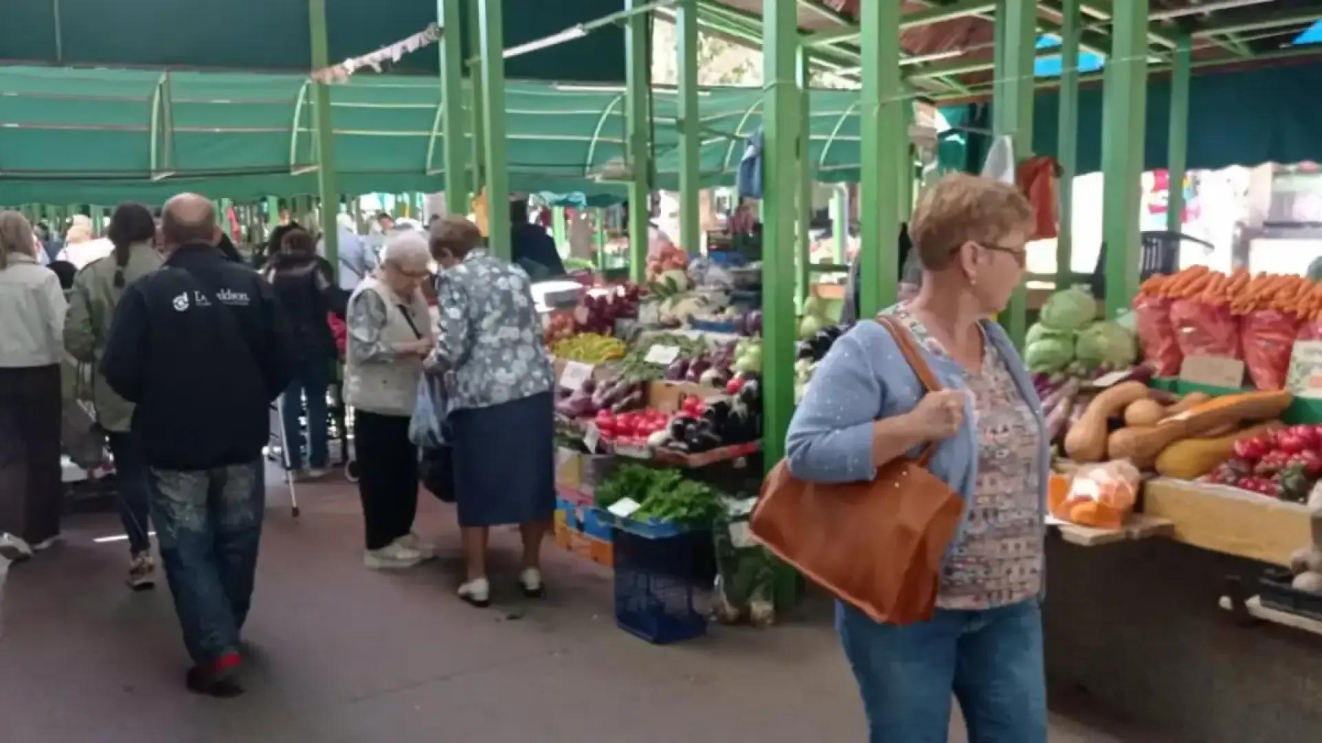 Мъка на пазара в Пазарджик: Домашна зимнина или буркан от магазина – есента в Пазарджик посреща с високи цени