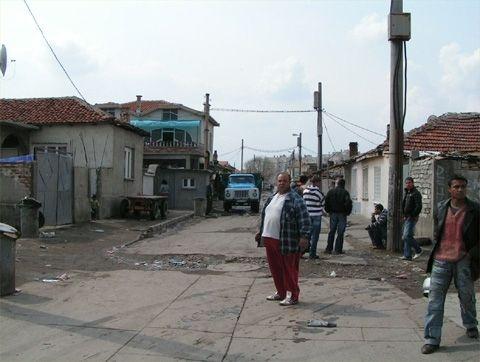 46 питбула открити в незаконен развъдник в Пазарджик