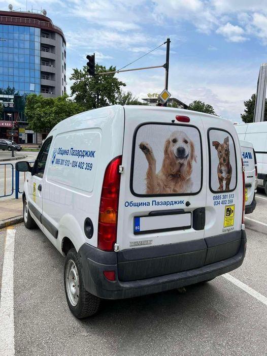 Браво ! Община Пазарджик стартира мерки за противодействие на проблема с бездомните кучета
