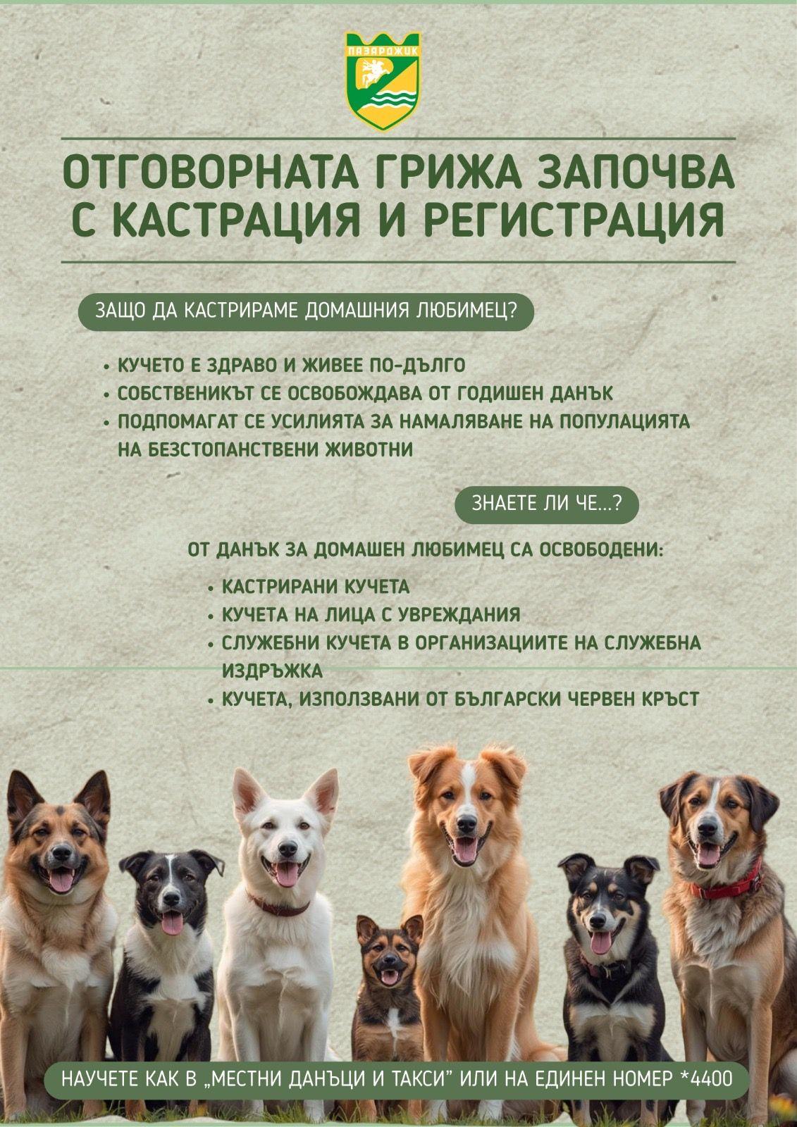 Община Пазарджик с кампания за регистрацията на домашните кучета