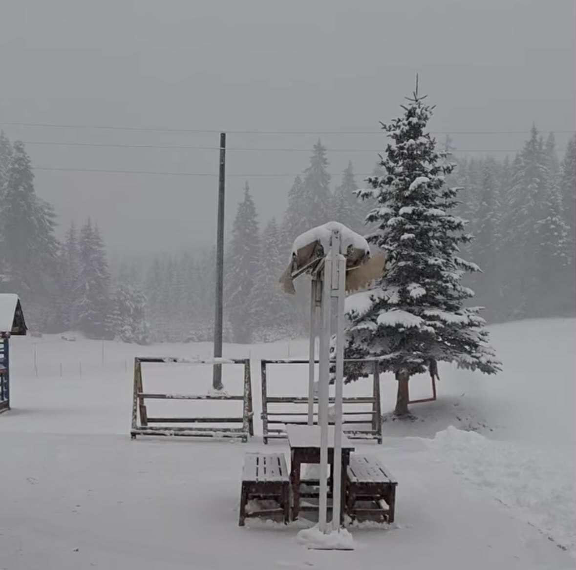 Юндола побеля! Истинска зимна приказка в Пазарджишко – вижте кадрите
