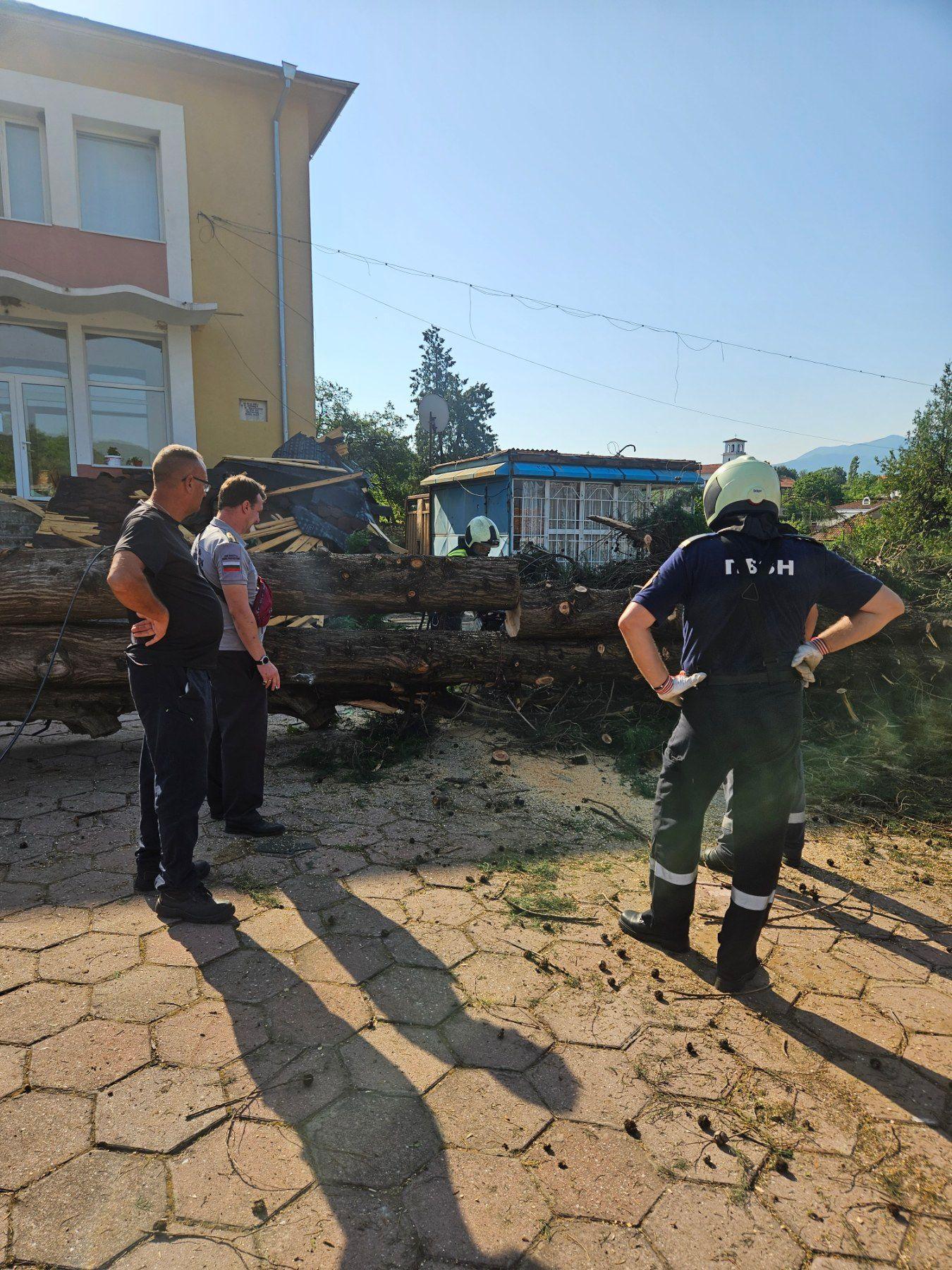 Ужас в Пазарджишко: Частично бедствено положение в село Дъбравите след опустошителен ураган СНИМКИ