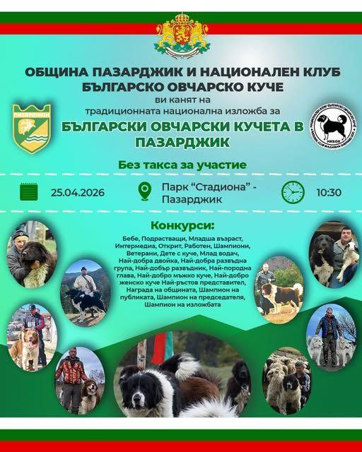 ДНЕС: Пазарджик събира любителите на българските овчарски кучета на специална изложба