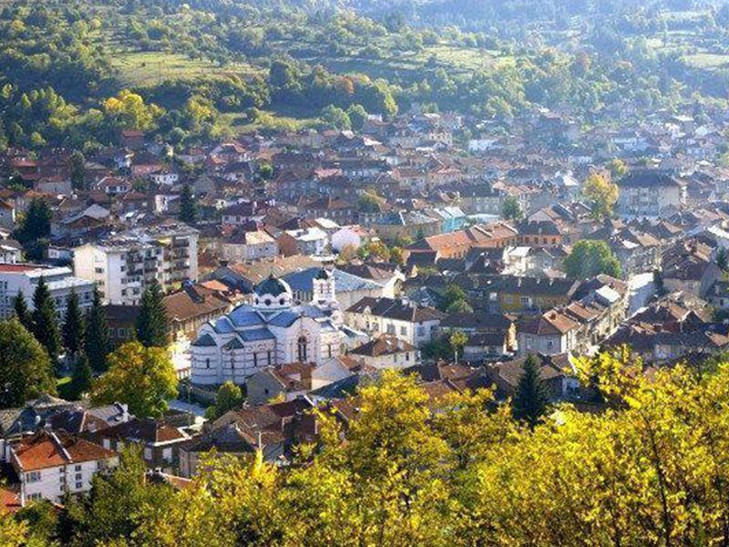 Напрежение в Батак след инцидент с крава: Жена е в болница с тежки наранявания