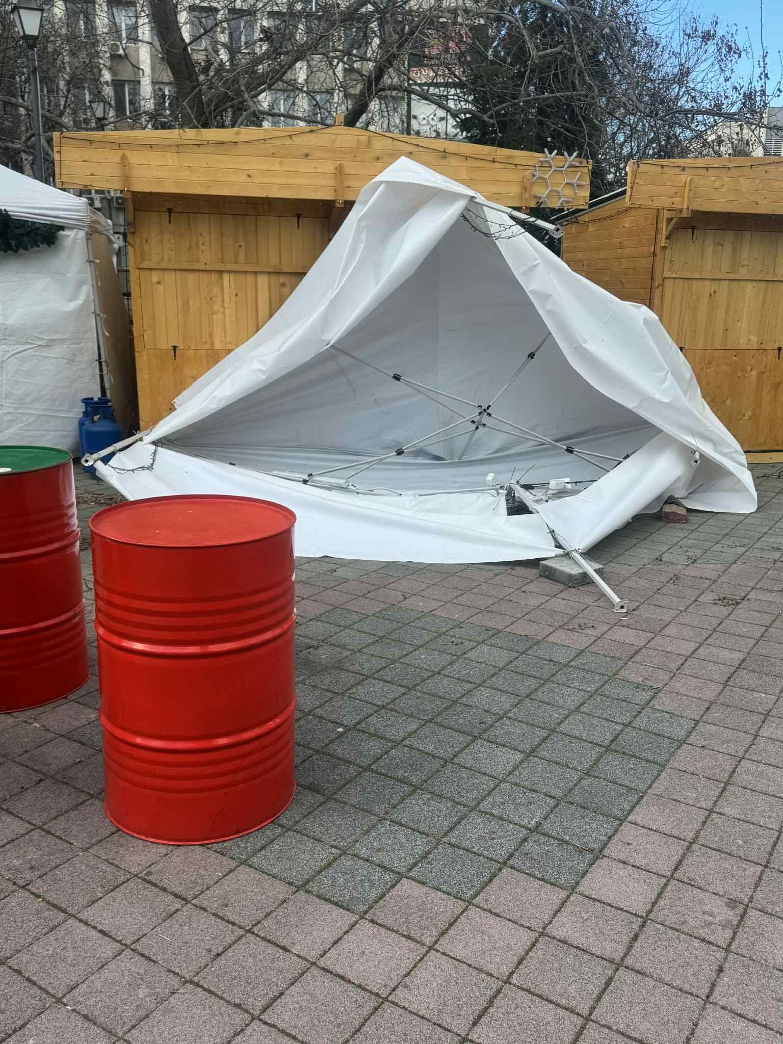 Паднали дървета и клони: Ураганният вятър мобилизира пожарникарите в Пазарджишко