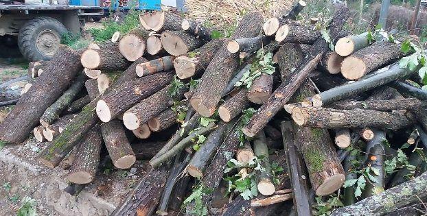 Откриха незаконни дърва за огрев в къщата на 47-годишен мъж в Пещера