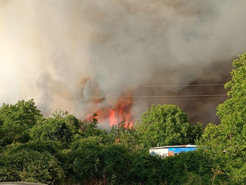 Министерският съвет отпуска допълнителни средства за борба с пожарите и подпомагане на пострадалите