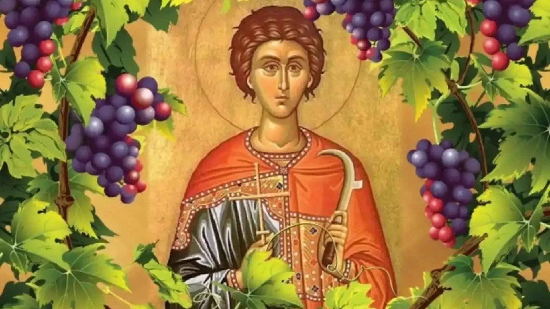 Трифон Зарезан – обичаи, традиции и история на празника