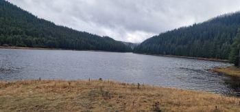 ИАРА – Пазарджик извърши над 65 проверки и състави два акта при контрол на водоемите