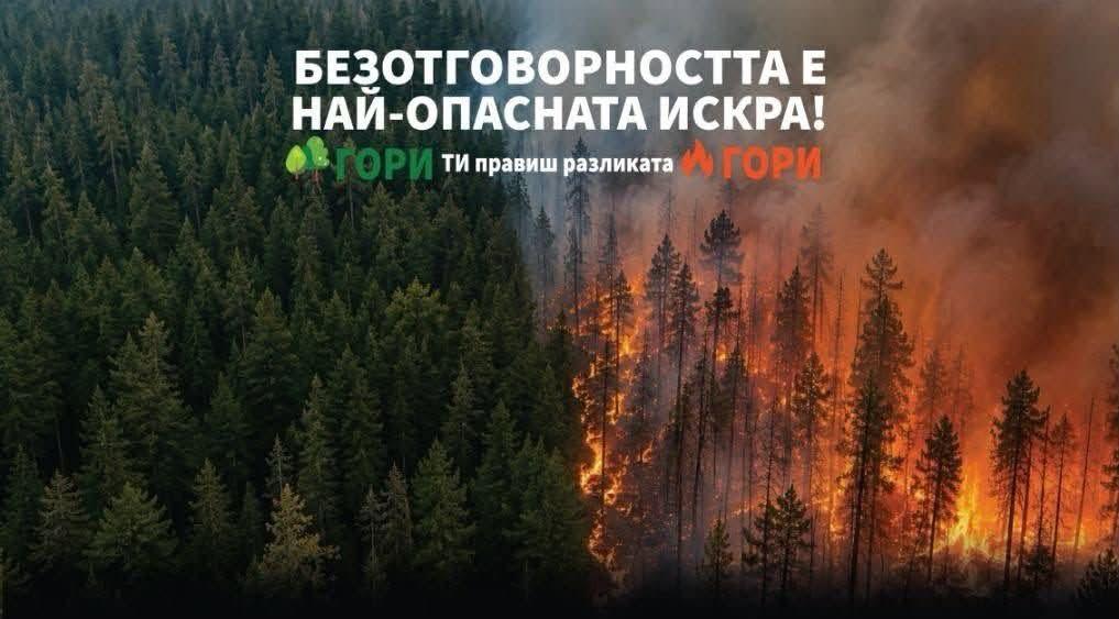 Община Пазарджик се включва в кампания за опазване на горите