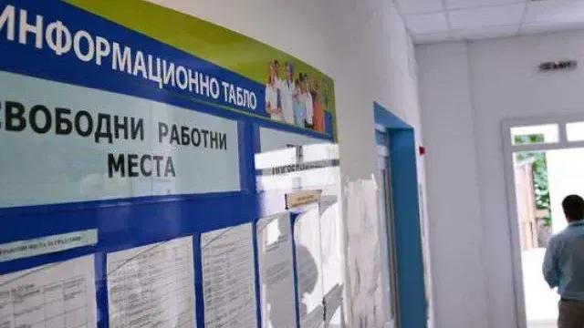 Над 280 свободни работни места в Пазарджик: Търсят учители, медицински сестри, готвачи, шофьори и работници