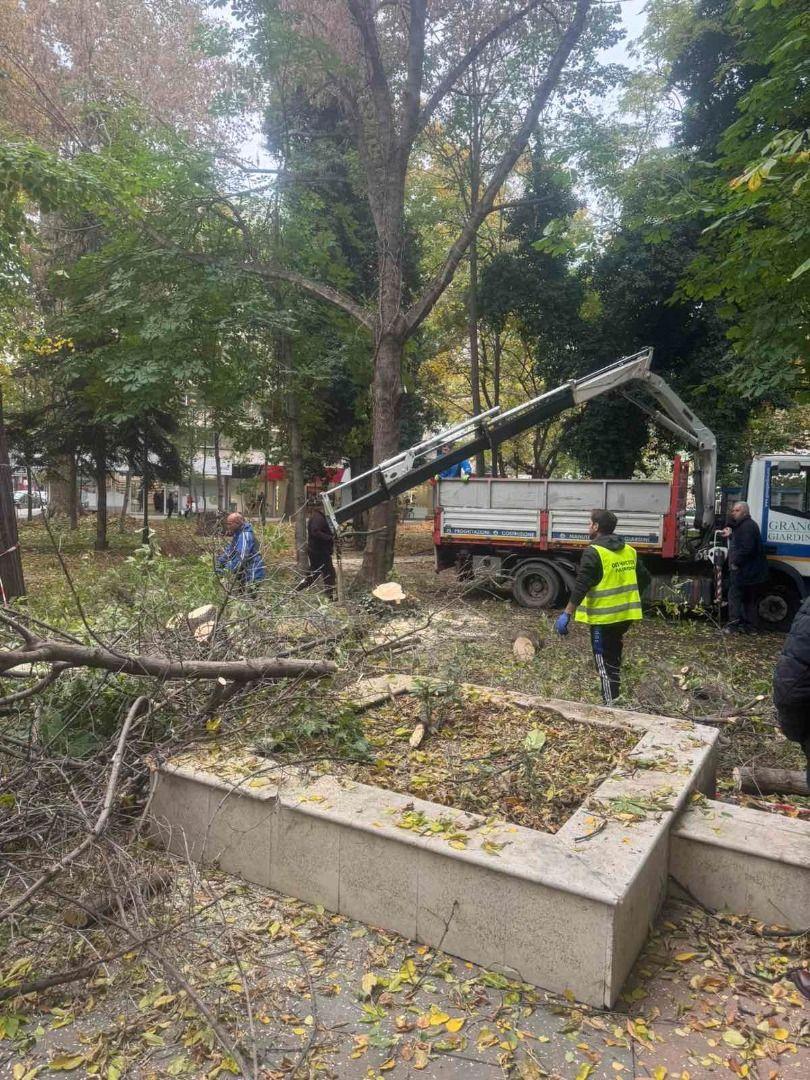 Градската градина на Пазарджик се обновява за по-зелено и безопасно бъдеще включващо Санитарна сеч и облагородяване