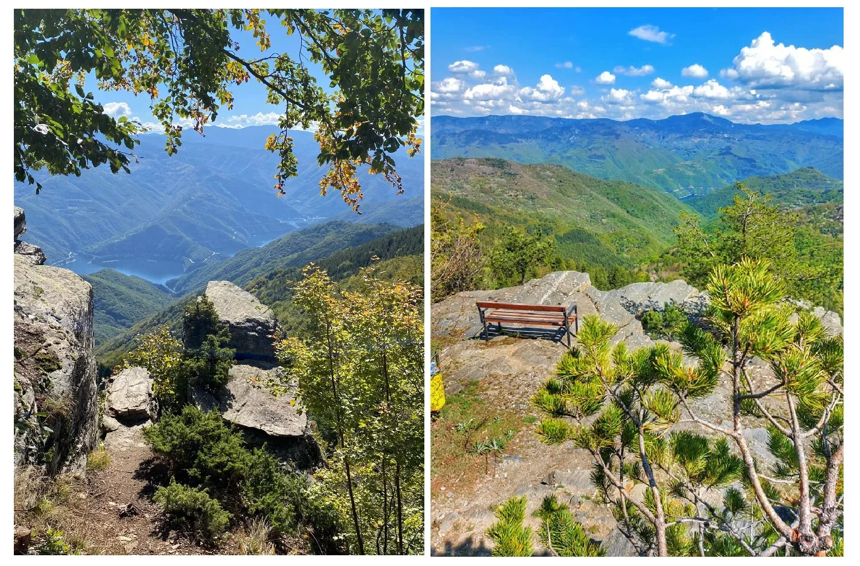 bekovi-i-chervena.webp